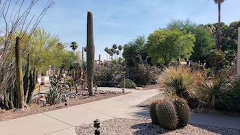Suite, 1 King Bed, Non Smoking (Casita Stargazer, One-Bedroom)