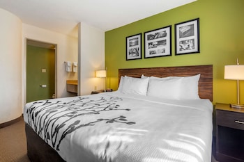 Standard Room, 1 King Bed, Non Smoking