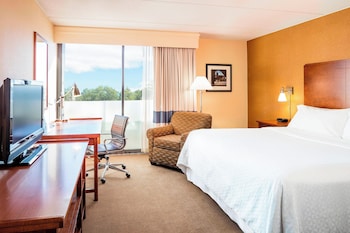 Room, 1 King Bed