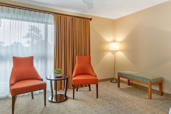 Standard Room, 1 King Bed, Accessible, Bathtub