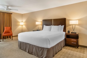 Standard Room, 1 King Bed, Accessible, Bathtub