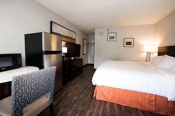 Room, 1 Queen Bed, Non Smoking