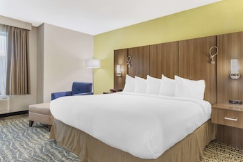 Standard Room, 1 King Bed, Accessible, Non Smoking