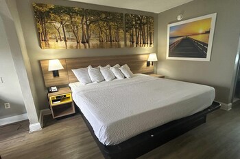 Room, 1 King Bed, Accessible