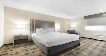 Standard Room, 1 Queen Bed, Non Smoking, Refrigerator & Microwave