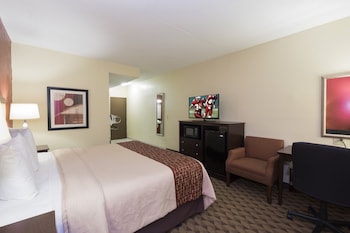 Superior Suite, 1 King Bed, Non Smoking
