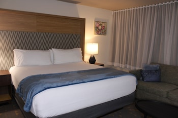 Deluxe Room, 1 King Bed with Sofa bed, Non Smoking