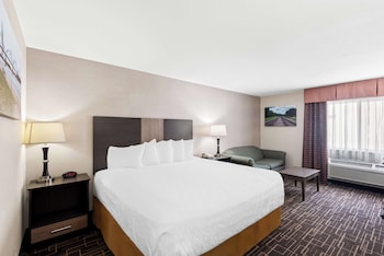 Deluxe Room, 1 King Bed, Non Smoking, Refrigerator & Microwave (with Sofabed)