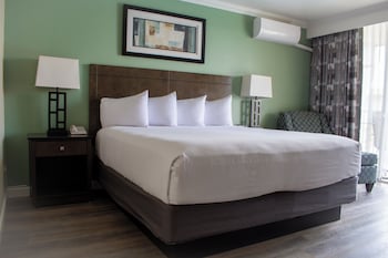 Standard Room, 1 King Bed, Refrigerator & Microwave