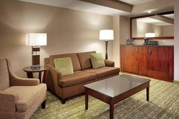 Suite, 1 King Bed with Sofa bed