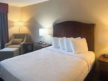 Deluxe Room, 1 King Bed, Smoking, Refrigerator & Microwave