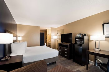 Standard Room, 1 King Bed, Non Smoking, Refrigerator & Microwave