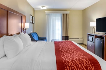 Standard Room, 1 King Bed with Sofa bed, Non Smoking