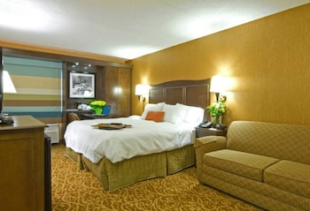 1 King Bed with Sofa bed (Study)