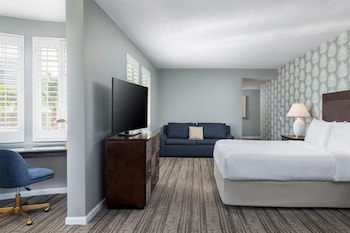 Executive Suite, 1 King Bed with Sofa bed, Balcony