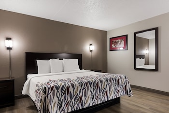 Standard Room, 1 King Bed, Accessible, Smoking