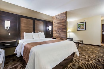 Efficiency, Studio Suite, 1 Queen Bed with Sofa bed, Non Smoking