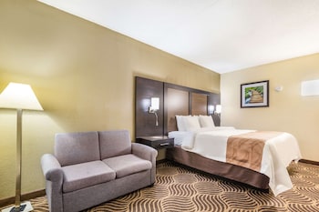 Studio Suite, 1 King Bed, Non Smoking