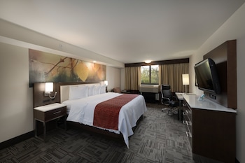 Standard Room, 1 King Bed