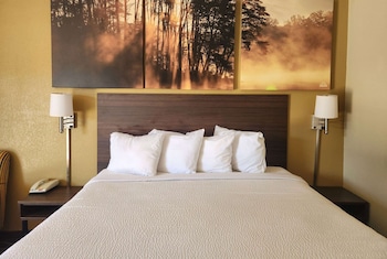 Standard Room, 1 King Bed, Non Smoking