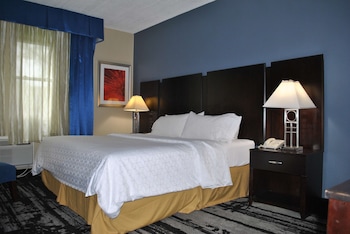 Standard Room, 1 King Bed, Non Smoking, Refrigerator & Microwave