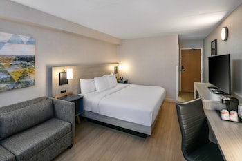 Room, 1 King Bed, Non Smoking