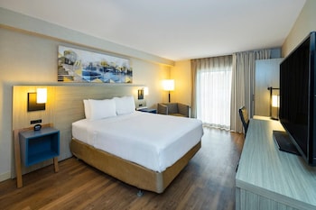 Room, 1 King Bed, Non Smoking