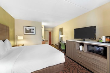 Standard Room, 1 King Bed, Accessible, Non Smoking