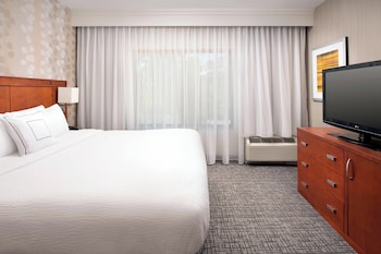 Room, 1 King Bed with Sofa bed