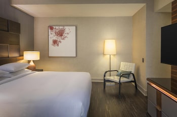Room, 1 King Bed, Accessible (Shower)
