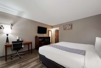 Standard Room, 1 King Bed, Accessible, Non Smoking