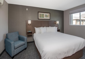 Premium Studio Suite, 1 King Bed (Coast Premium King Junior Suite)