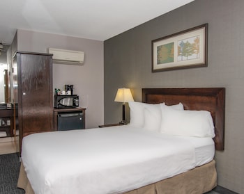 Basic Single Room (Coast Limited Queen)