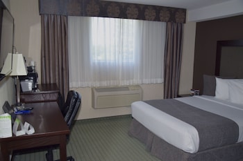 Comfort Room, 1 Queen Bed (Coast Queen)