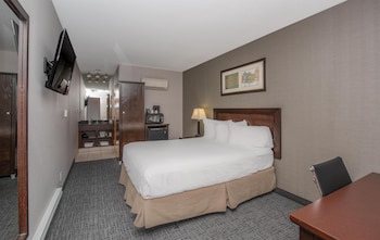 Basic Single Room (Coast Limited Queen)