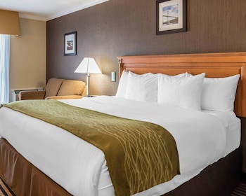 Suite, 1 King Bed, Non Smoking