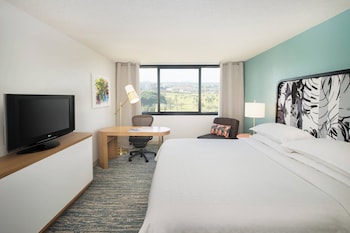 Executive Room, 1 King Bed (Mobility/Hearing Access, Roll-In Shwr)