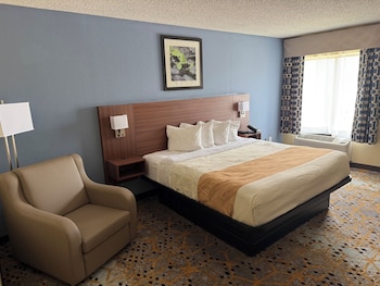 Standard Double Room, 1 Bedroom, Non Smoking