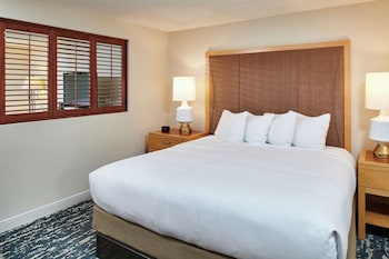 Suite, 1 King Bed