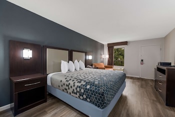 Standard Room, 1 King Bed, Non Smoking