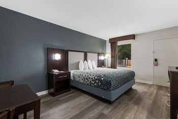 Room, 1 King Bed, Accessible, Non Smoking