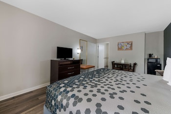 Room, 1 King Bed, Accessible, Non Smoking
