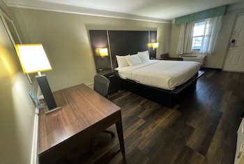 Room, 1 King Bed with Sofa bed, Non Smoking