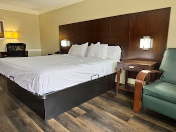 Room, 1 King Bed with Sofa bed, Non Smoking