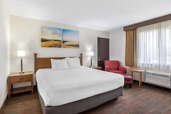 Standard Room, 1 King Bed, Accessible, Bathtub