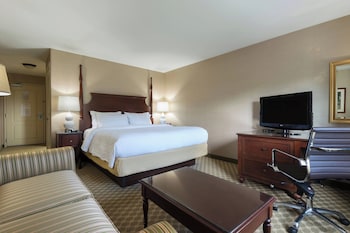 Room, 1 King Bed with Sofa bed (Mobility Accessible, Roll-In Shower)