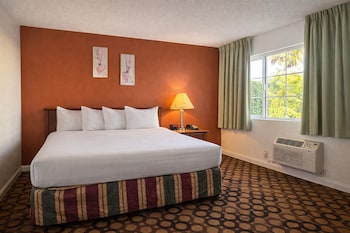 Room, 1 Queen Bed, Roll-in Shower