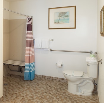 Room, 1 Queen Bed, Roll-in Shower