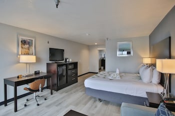 Standard Room, 1 King Bed, Non Smoking, Refrigerator