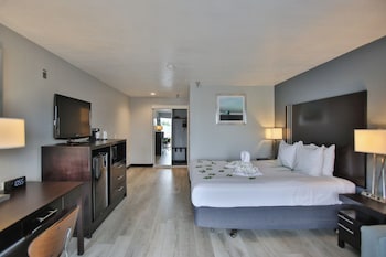 Standard Room, 1 King Bed, Non Smoking, Refrigerator
